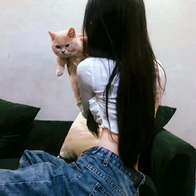 心灵筑动